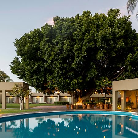 Camino Real Guadalajara Zapopan Exterior foto The Banyan Resort