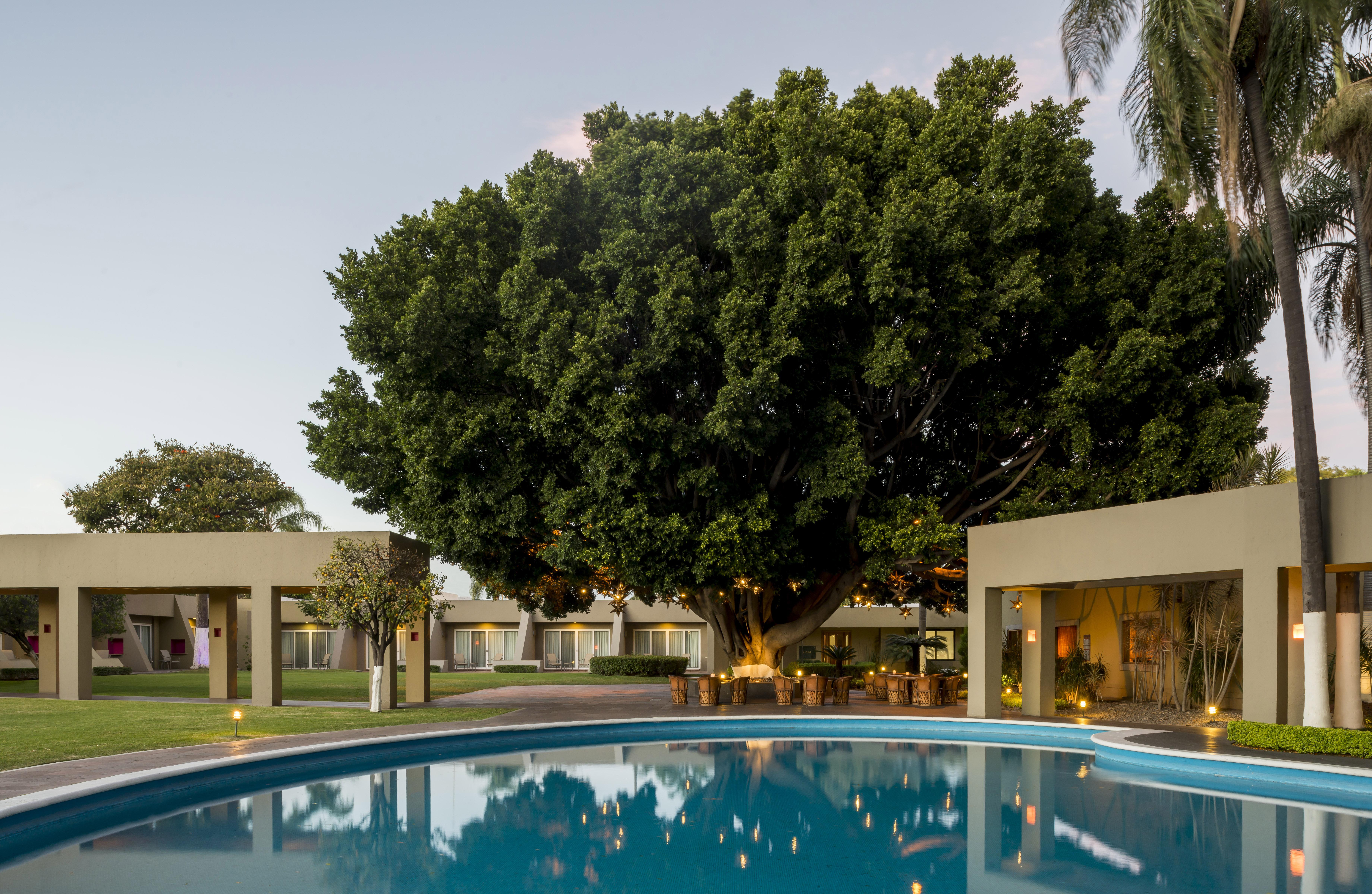 Camino Real Guadalajara Zapopan Exterior foto The Banyan Resort